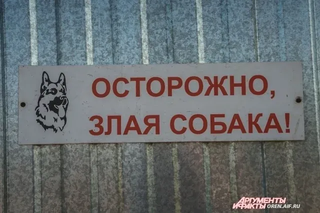 Бастрыкин поручил ускорить дело о нападении собак на ребёнка в Ясном