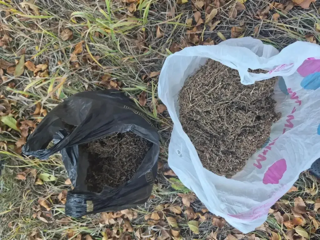 В Переволоцком районе у троих мужчин изъяли килограмм марихуаны