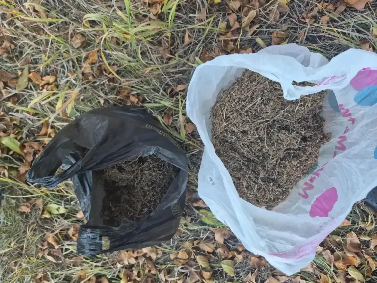В Переволоцком районе у троих мужчин изъяли килограмм марихуаны