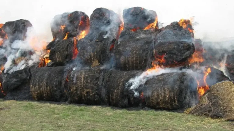 В Гайском округе женщина из мести сожгла 11 тюков сена